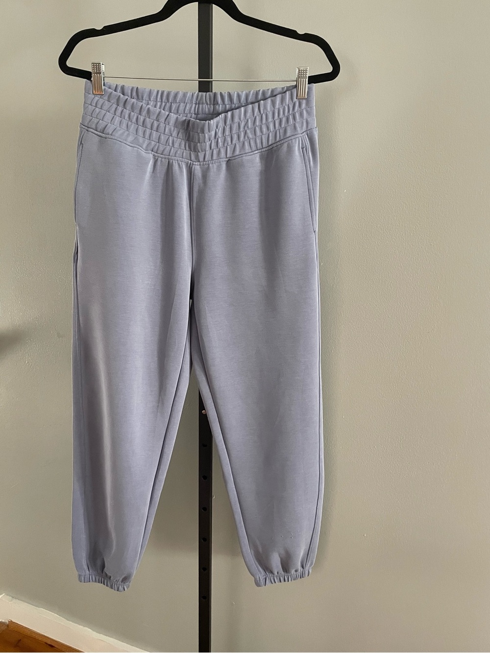 Bailey/44 Periwinkle Jogger Pants Size Large